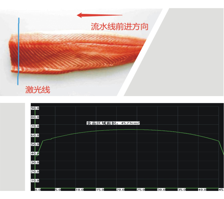 食品體積重量計量
